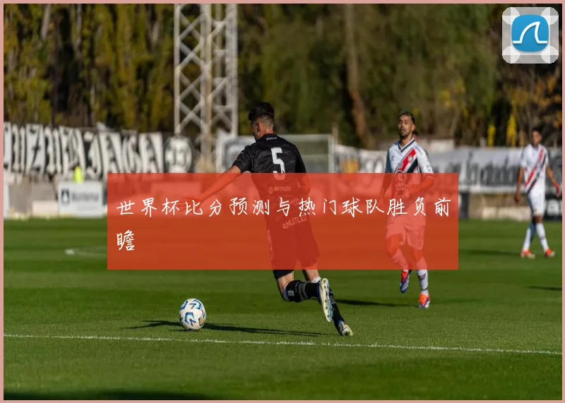 世界杯比分预测与热门球队胜负前瞻