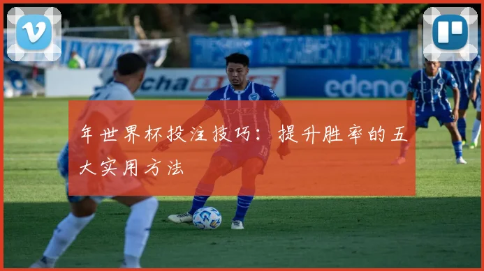 年世界杯投注技巧：提升胜率的五大实用方法